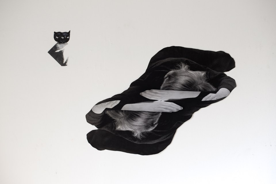 Untitled (Collage and Cat), 2012, Collage 94×60 cm Cat 20x12 cm tal gilboa טל גלבוע