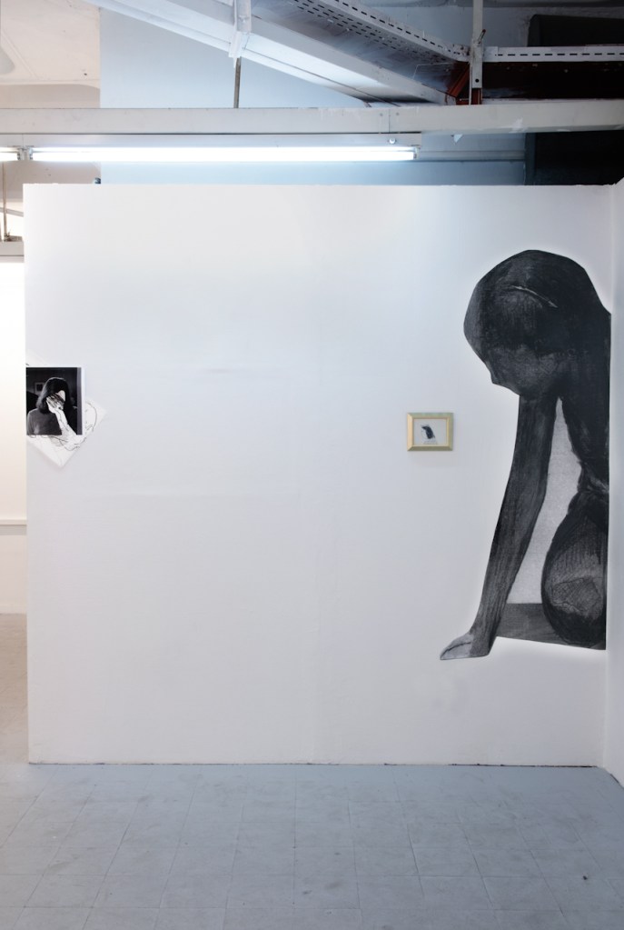 Collage Installation, 2012, Mixed media, 230x300 cm tal gilboa טל גלבוע